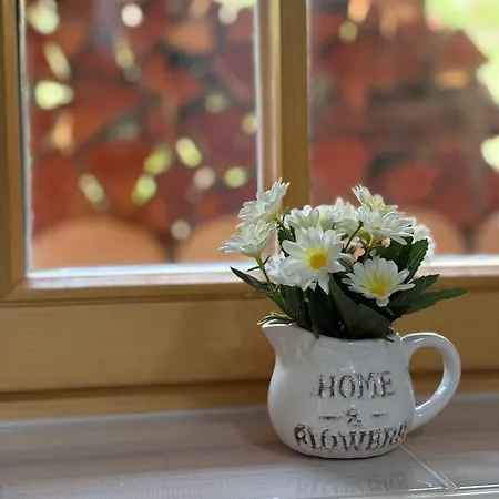 Semesterbostad Hiska Erika - Wood House Erika *