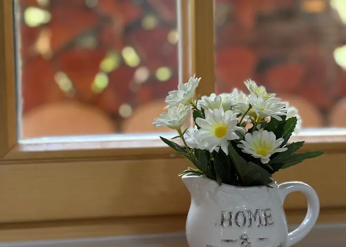 度假居 Hiska Erika - Wood House Erika *